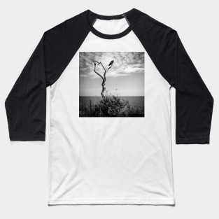 the lone raven is sitting in the dead tree Baseball T-Shirt